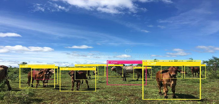        تشخیص اشیاء و فعالیت‌های غیرعادی