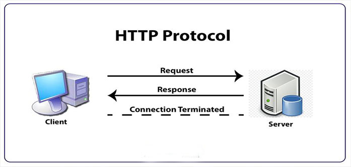 پروتکلهای مهم شبکه