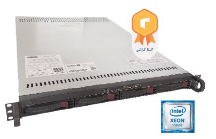 سرور راینو  RINO RS165-G10 Server
